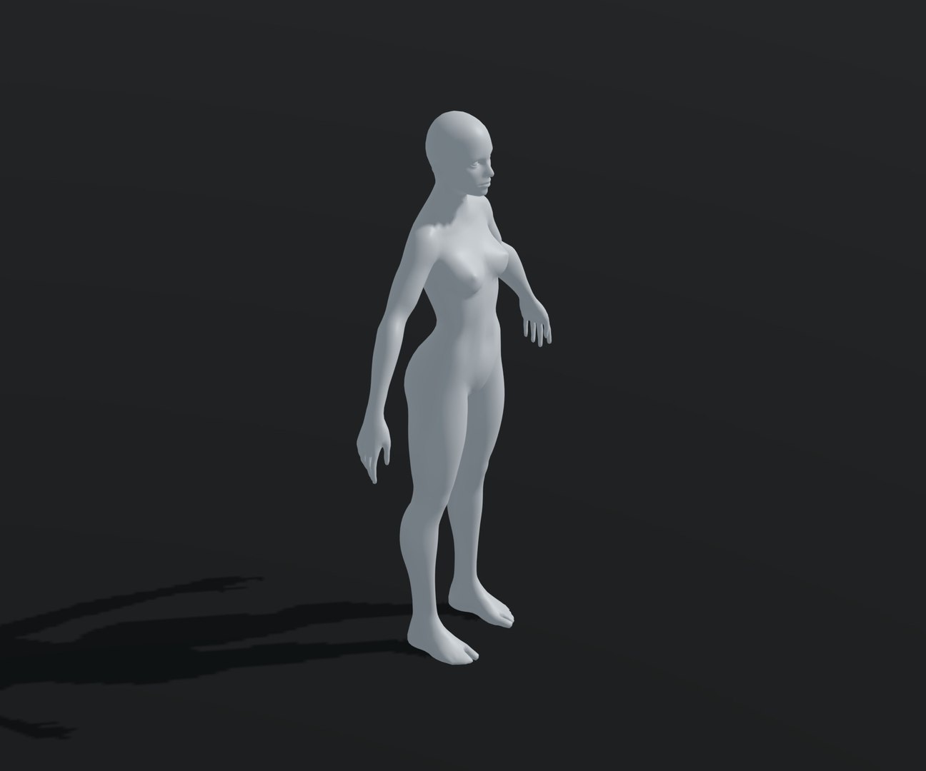Female Body Base Mesh Animated and Rigged 20k Polygons 3D https://p.turbosquid.com/ts-thumb/XT/5Z0D9l/Pj/18/jpg/1650991147/1920x1080/fit_q87/cae5fa631f7b9ed8c350f4ee8a11c9fd0ae34cd2/18.jpg