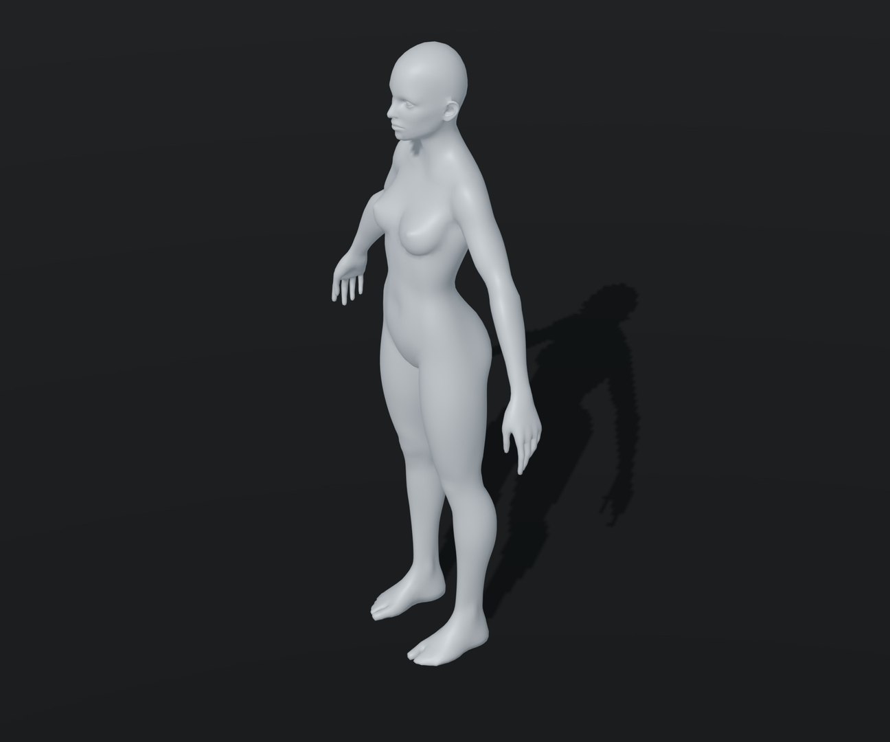 Female Body Base Mesh Animated and Rigged 20k Polygons 3D https://p.turbosquid.com/ts-thumb/XT/5Z0D9l/wx/10/jpg/1650991137/1920x1080/fit_q87/a0a24d1d773b7299b03c02f693b6aa63f9324100/10.jpg