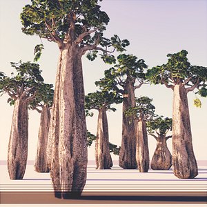 Baobab Forest Pack  Animated 3D