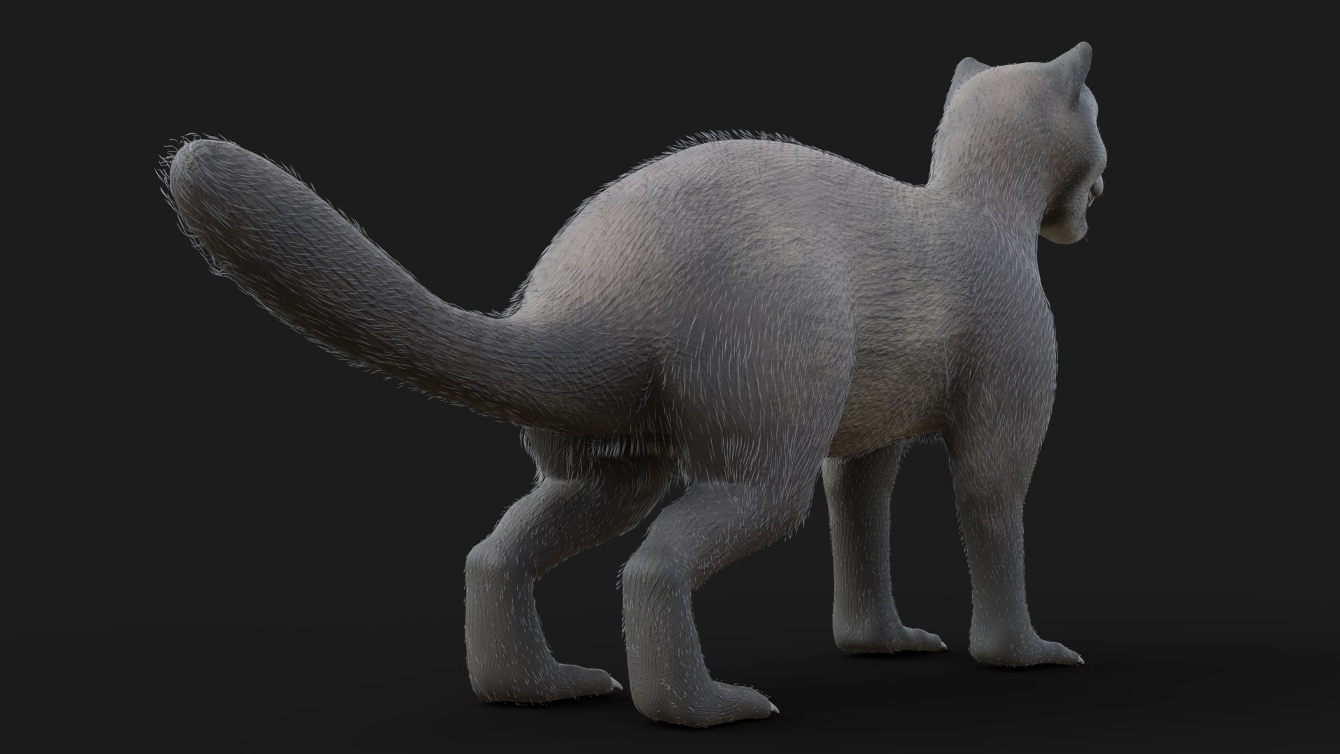 3D Mongoose Rigged Free animal model https://p.turbosquid.com/ts-thumb/XT/AgUJLB/0E/5/png/1762849743/1920x1080/fit_q87/e6b8984ecc91dd9a85176087fd604037f1d575d8/5.jpg