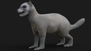 3D Mongoose Rigged Free animal model