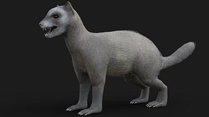 Mongoose Rigged Free animal