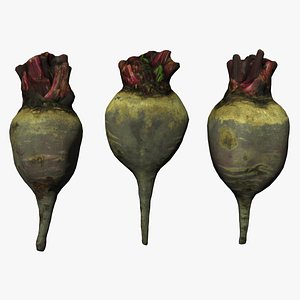 beet scan model