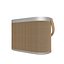 динамик Bang Olufsen Beosound A9