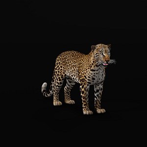 AfricanLeopard 3D model