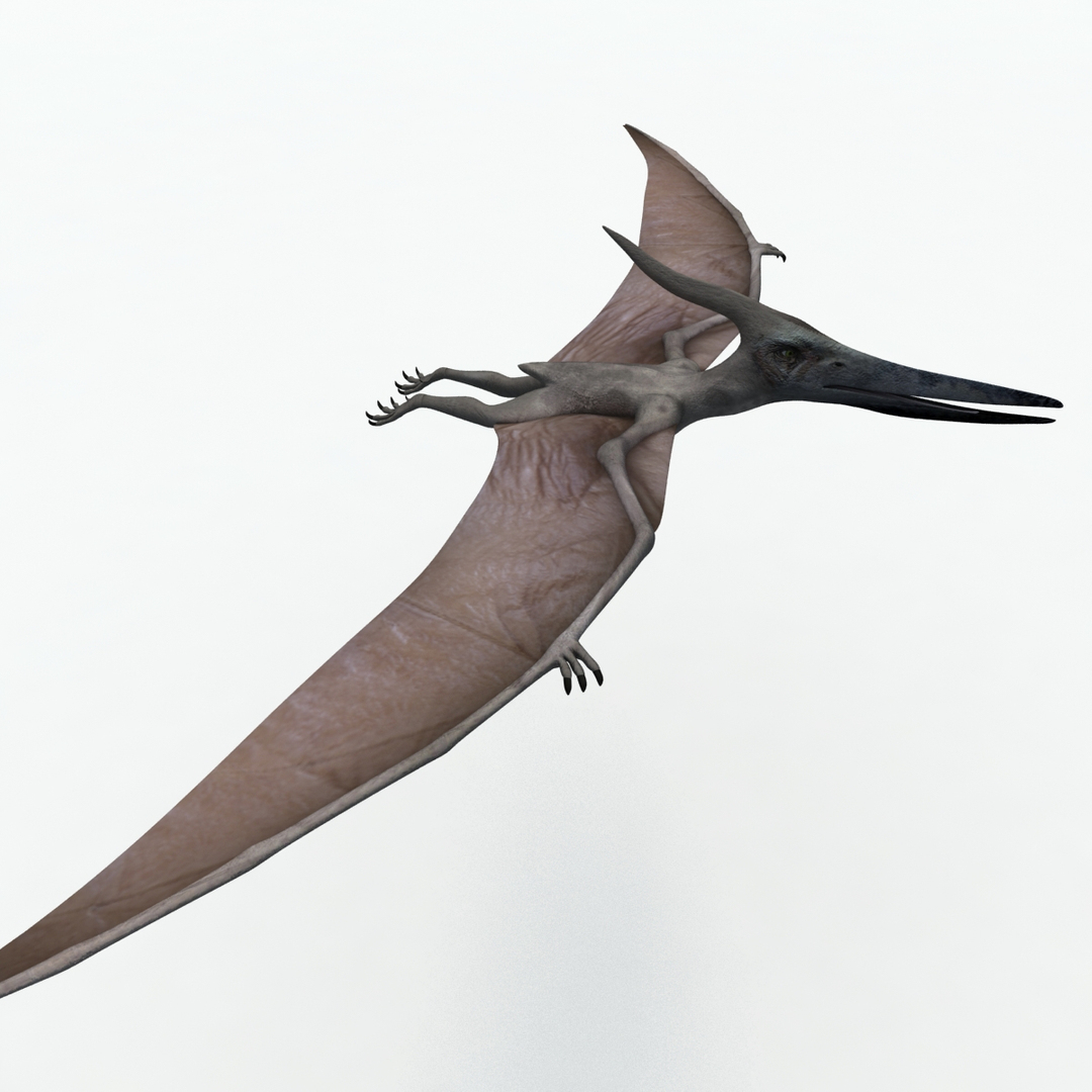 c4d rigged rex pteranodon