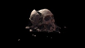 3D model spider webs skull