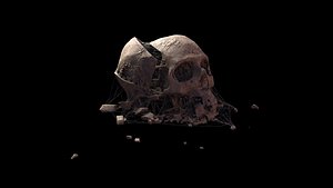 Broken Skull with Spider webs 4