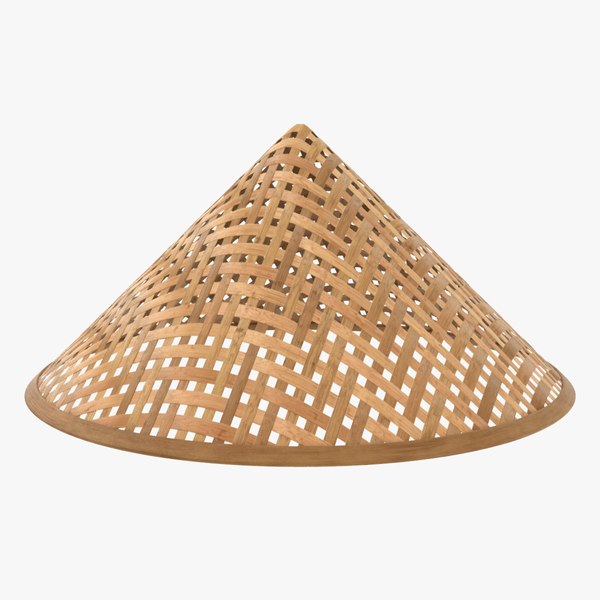 3D Bamboo Hat Color 3 model