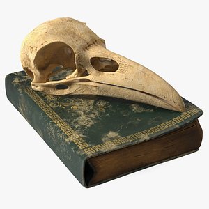 Dark Academia Book with Bird Skull