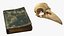 Dark Academia Book with Bird Skull model