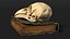 Dark Academia Book with Bird Skull model