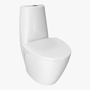 One Piece Wc Toilet White