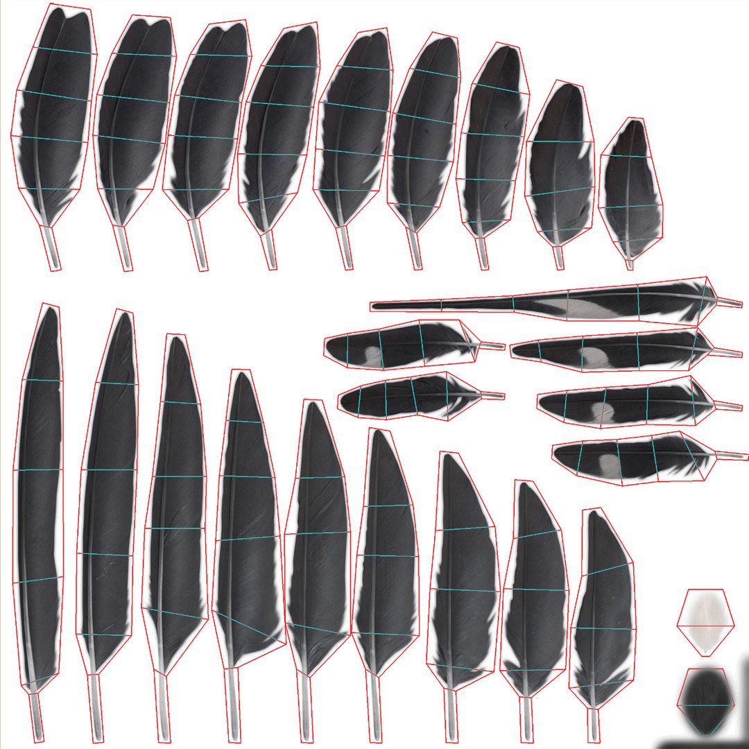 maya hirundo rustica barn swallow https://p.turbosquid.com/ts-thumb/XU/DmXeHd/08lrjTF2/uv_feathers_diff/jpg/1375294769/1920x1080/fit_q87/27e3426c3d04b89b6ecc05829558ccd537120914/uv_feathers_diff.jpg