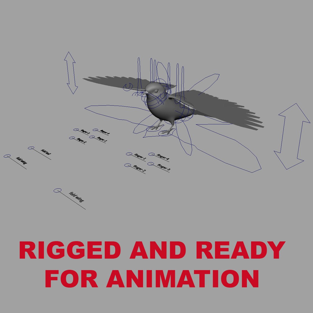 maya hirundo rustica barn swallow https://p.turbosquid.com/ts-thumb/XU/DmXeHd/4cPAraRl/rig/jpg/1373489797/1920x1080/fit_q87/c3c3b7f6127fd6733cabf9ad2bda9edc09ec6152/rig.jpg