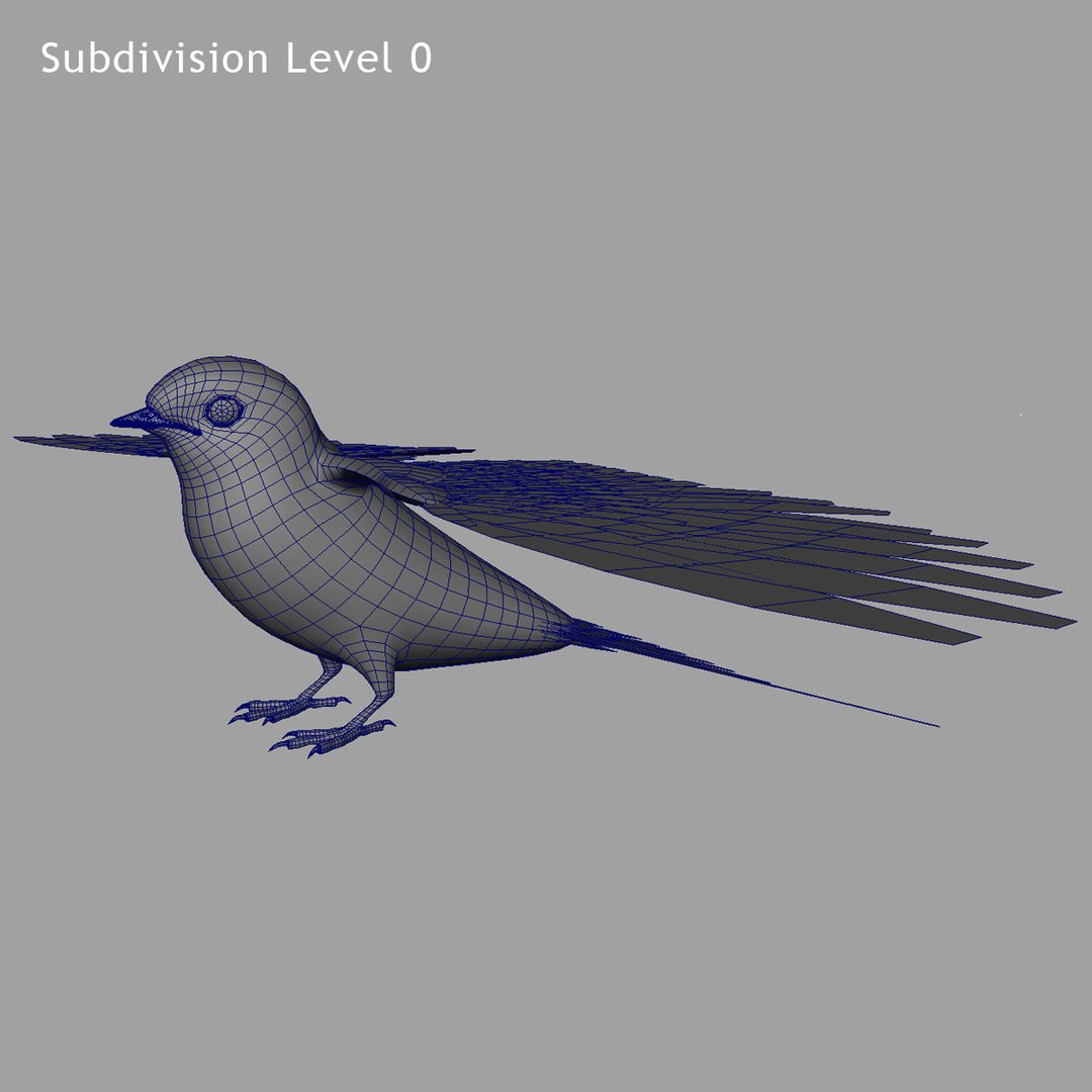 maya hirundo rustica barn swallow https://p.turbosquid.com/ts-thumb/XU/DmXeHd/ArqZp6Bp/level_0/jpg/1375111090/1920x1080/fit_q87/40f08f8597289ec00fddf30c54f054f1f9a3c7f2/level_0.jpg