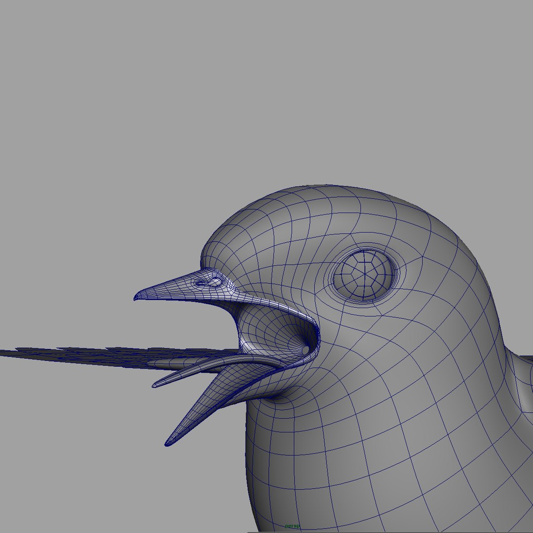 maya hirundo rustica barn swallow https://p.turbosquid.com/ts-thumb/XU/DmXeHd/ElVqusEZ/wire_04/jpg/1373490088/1920x1080/fit_q87/8282ccd85cad3644f430af0835b480285e4767b5/wire_04.jpg