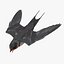 Hirundo Rustica 'Barn Swallow'