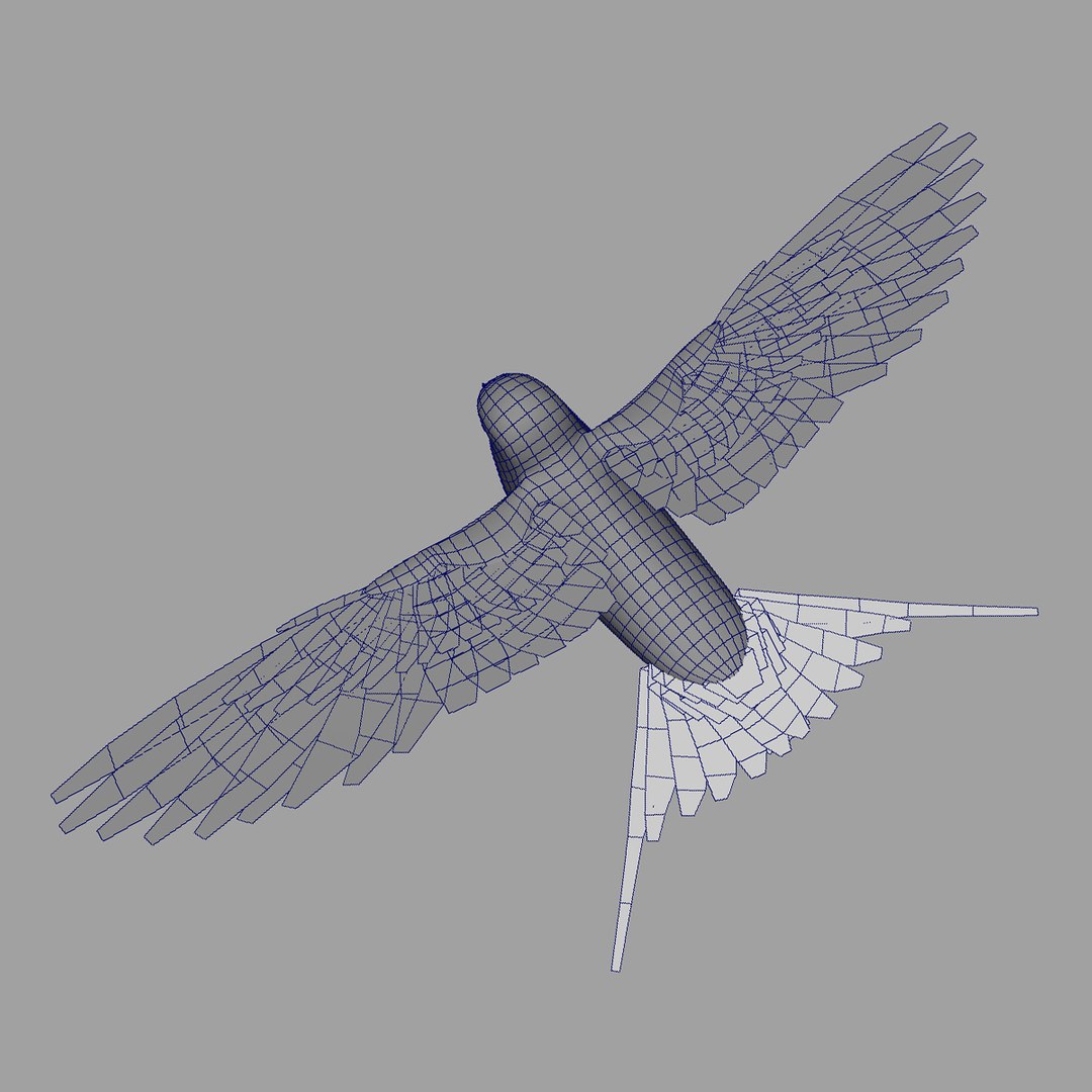 maya hirundo rustica barn swallow https://p.turbosquid.com/ts-thumb/XU/DmXeHd/iocrgprO/wire_01/jpg/1373490088/1920x1080/fit_q87/471ac4653e868984501974e13e28a19180bed625/wire_01.jpg