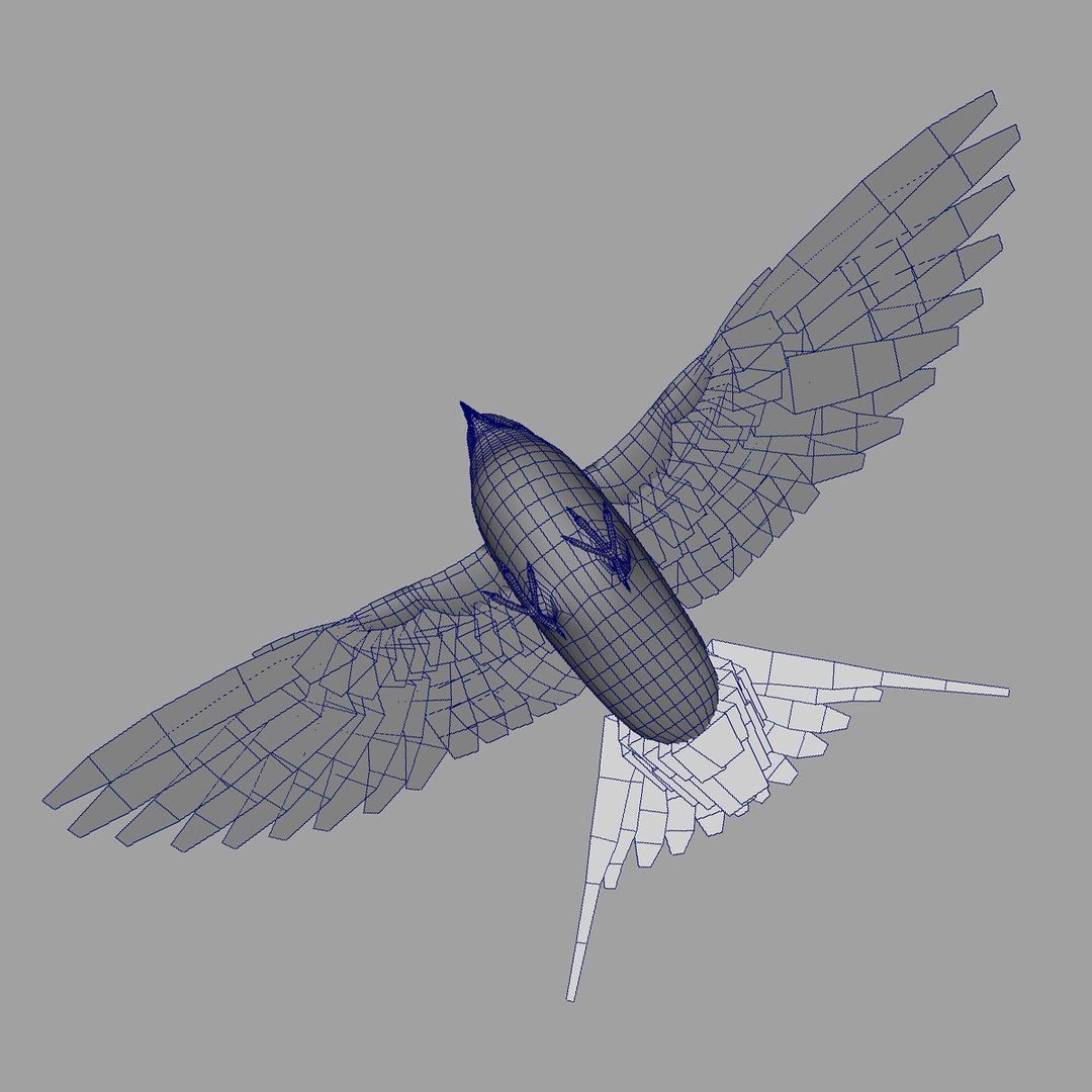 maya hirundo rustica barn swallow https://p.turbosquid.com/ts-thumb/XU/DmXeHd/mmc0v0hd/wire_02/jpg/1373490088/1920x1080/fit_q87/7620a3c44b55a2ad90d5df29750c383a952b043e/wire_02.jpg