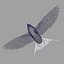 Hirundo Rustica 'Barn Swallow'