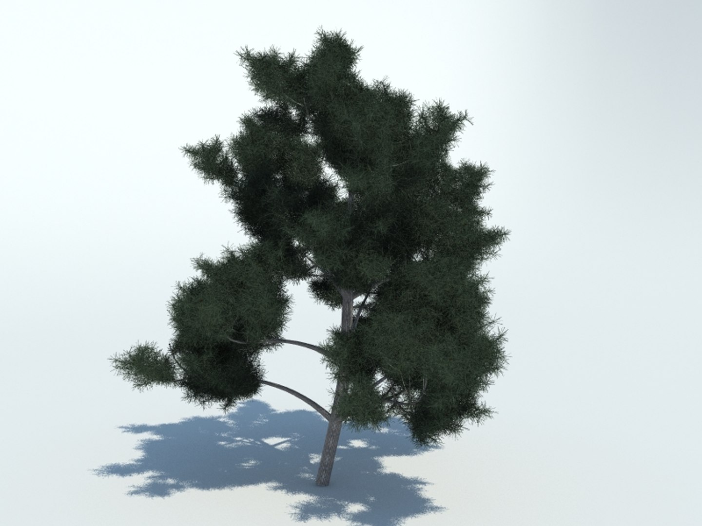 realistic pine tree 3d x https://p.turbosquid.com/ts-thumb/XU/Fl7b3K/dgqswNOh/3render/jpg/1426057504/1920x1080/fit_q87/543333258482134ceef9e9cc9c94afe482d97a0f/3render.jpg