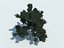 Tree pine