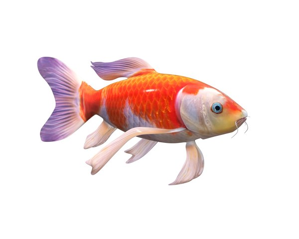 modelo 3d Pescado en un cubo - TurboSquid 887026