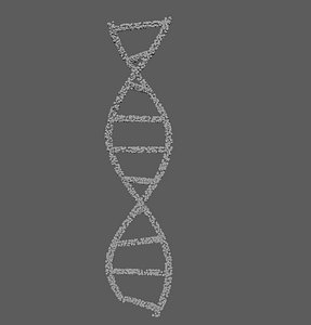 dna strand 3D model