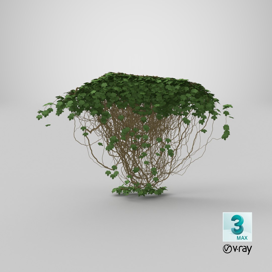 ivy pbr branches 3D model https://p.turbosquid.com/ts-thumb/XU/rgfQBG/f85v1pFi/render.0001/png/1524659982/1920x1080/fit_q87/125485879c43dae926965963144a9ae2effecf84/render.0001.jpg