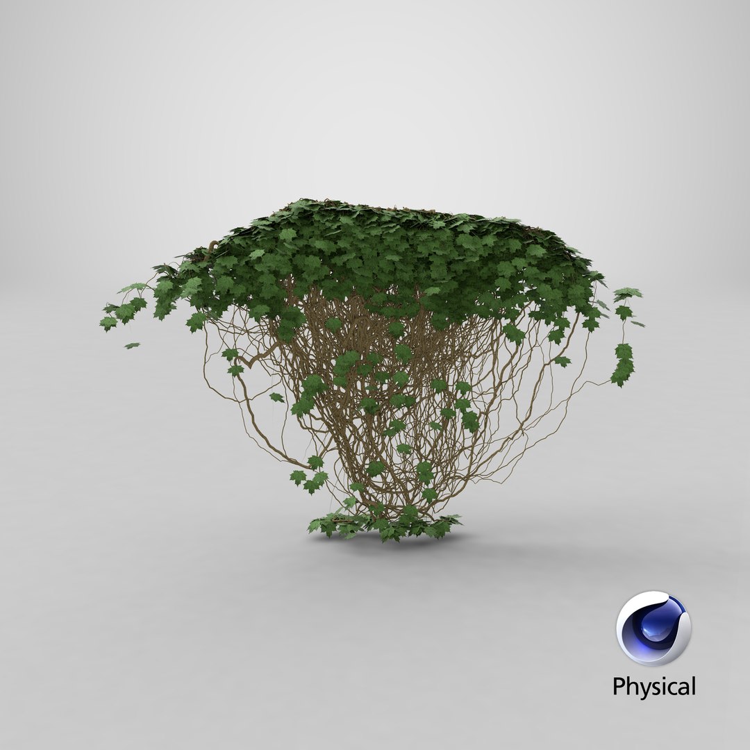 ivy pbr branches 3D model https://p.turbosquid.com/ts-thumb/XU/rgfQBG/gdKGrwDl/render.0001/png/1524659990/1920x1080/fit_q87/46374e2a82b88f9399fd33e5b211f2c027abea5e/render.0001.jpg