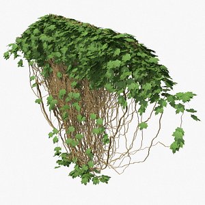 ivy pbr branches 3D model