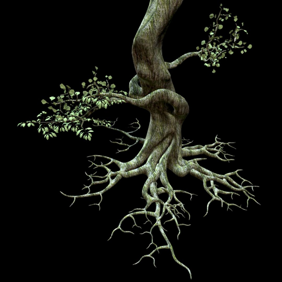secular tree 3d model https://p.turbosquid.com/ts-thumb/XU/x30d1b/EFBgRReN/albero03/jpg/1292586154/1920x1080/fit_q87/53d27dc5fd1f160b92312ce2435a42a49263f610/albero03.jpg
