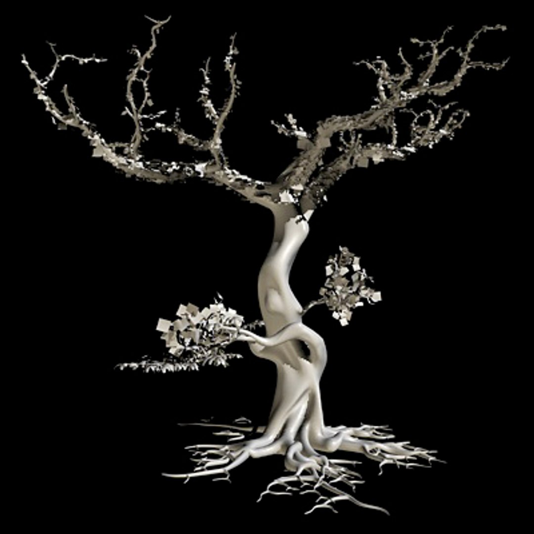 secular tree 3d model https://p.turbosquid.com/ts-thumb/XU/x30d1b/FuifRSsc/albero10/jpg/1292586154/1920x1080/fit_q87/38561d14a654b016d1473d35f205708a9d4828db/albero10.jpg