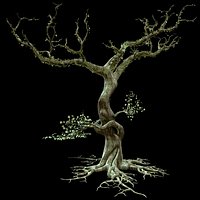 Secular Tree