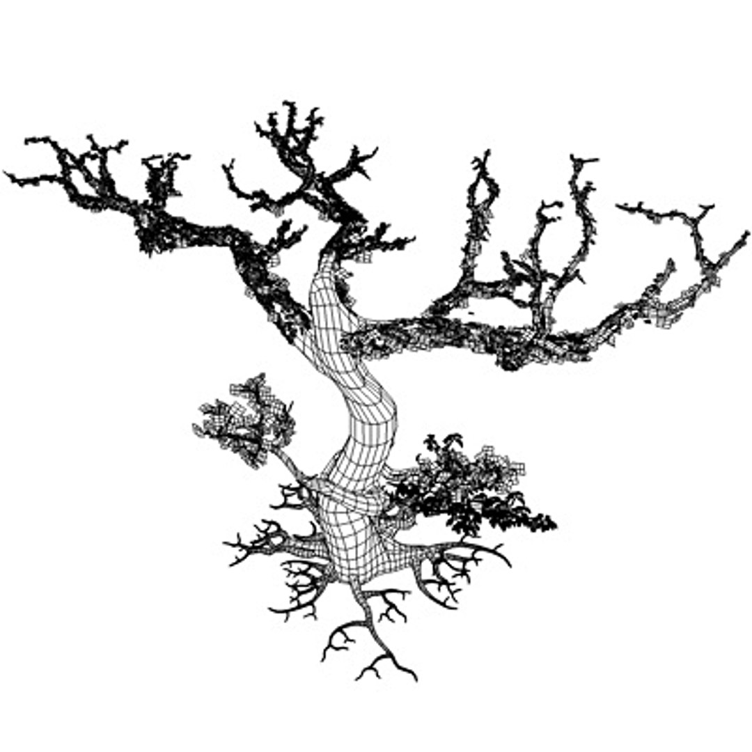 secular tree 3d model https://p.turbosquid.com/ts-thumb/XU/x30d1b/SefpehiD/alberowir03/jpg/1292586154/1920x1080/fit_q87/905cbd9a78411c942e64b628cf319ac6e78d0259/alberowir03.jpg