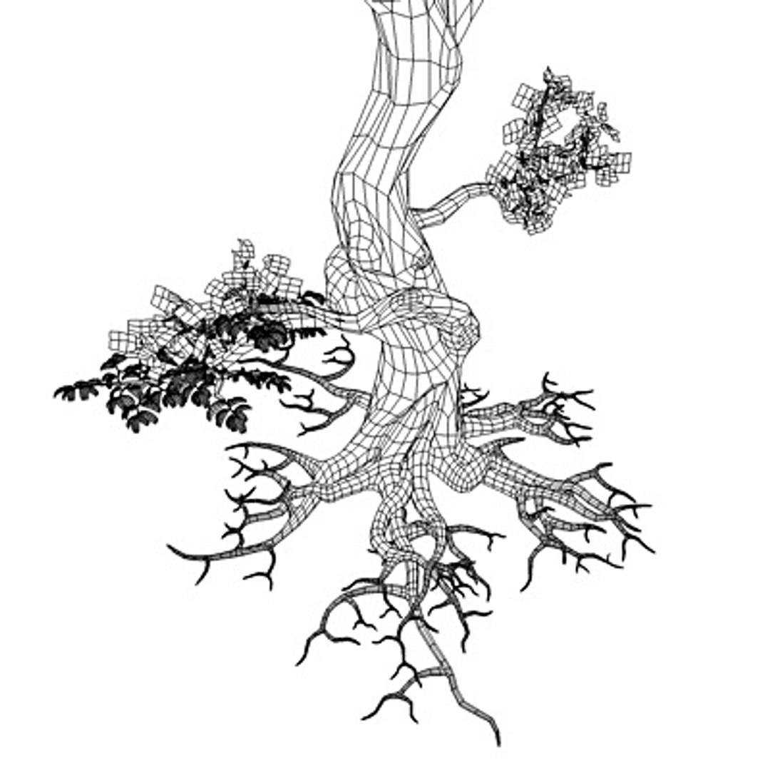secular tree 3d model https://p.turbosquid.com/ts-thumb/XU/x30d1b/UjXCa2FV/alberowir02/jpg/1292586154/1920x1080/fit_q87/468fcc17d86bdafcd683e55f043aae45395e2346/alberowir02.jpg