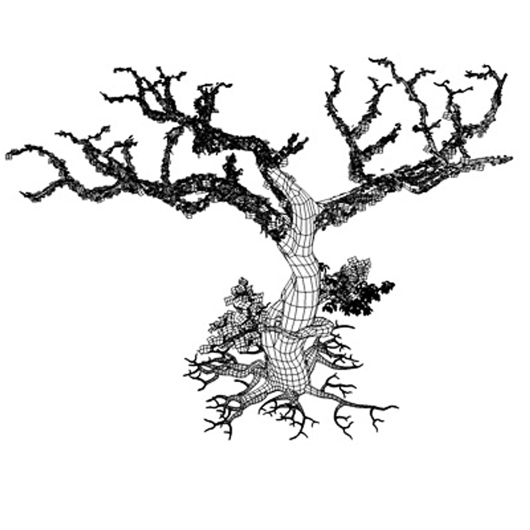 secular tree 3d model https://p.turbosquid.com/ts-thumb/XU/x30d1b/Z5HHDcx2/alberowir04/jpg/1292586154/1920x1080/fit_q87/a68247025928b88e5f074fe3fd72d4ff728ddf4d/alberowir04.jpg