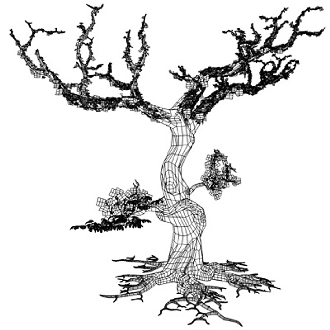 secular tree 3d model https://p.turbosquid.com/ts-thumb/XU/x30d1b/lmaMUxAw/alberowir01/jpg/1292586154/1920x1080/fit_q87/f868fc2d5be90cc03e26d9c37822506611236ecd/alberowir01.jpg