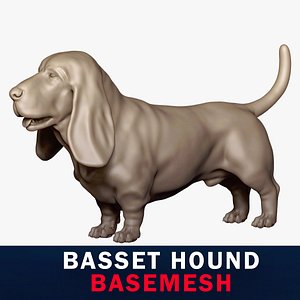 Basset Hound Base Mesh 3D model 3D