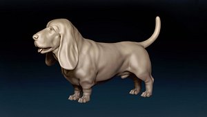 Basset Hound Base Mesh 3D model