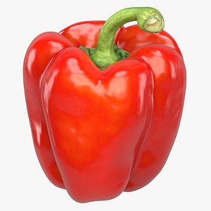3D model photorealistic red bell pepper