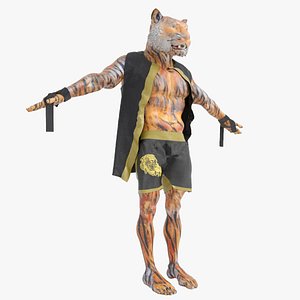 Tiger Warrior