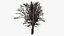 spooky tree 3D model