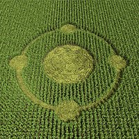 Crop Circle