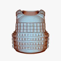 Releasable Modular Vest