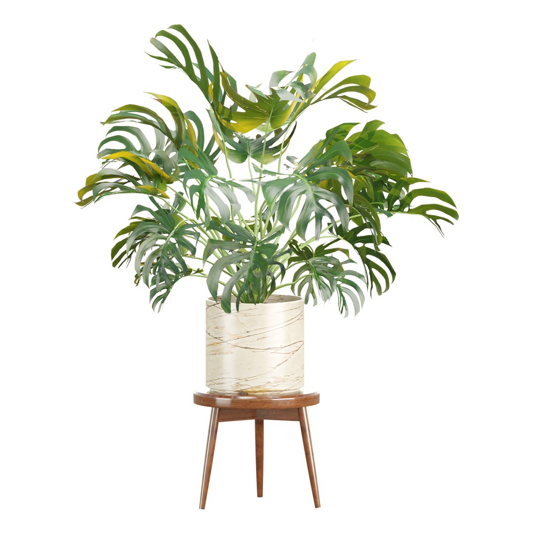 3D Premium Indoor &amp; Outdoor Plant Collection Bundle 100 https://p.turbosquid.com/ts-thumb/XV/TusYKh/AF/2/jpg/1770896987/1920x1080/fit_q87/93d0ef70e222e486fe88ae0327aebb61e95e5876/2.jpg