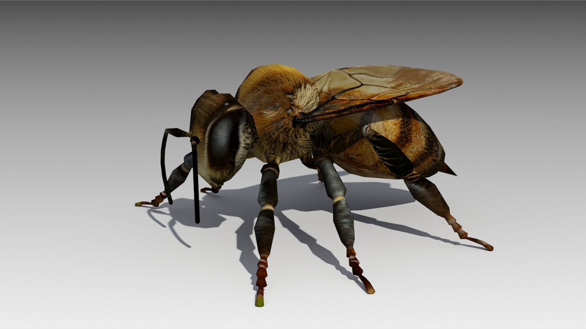 max honey bee animations