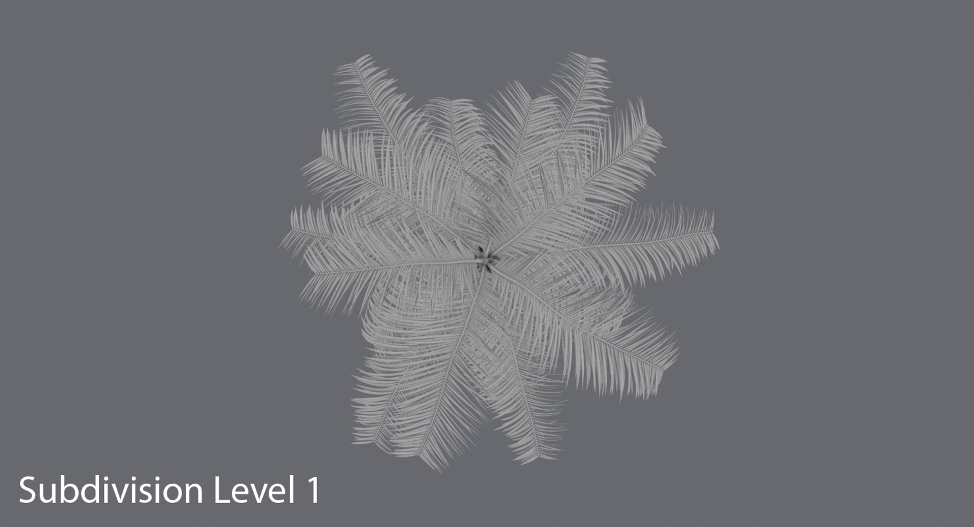 3d Palm Tree 02 Model