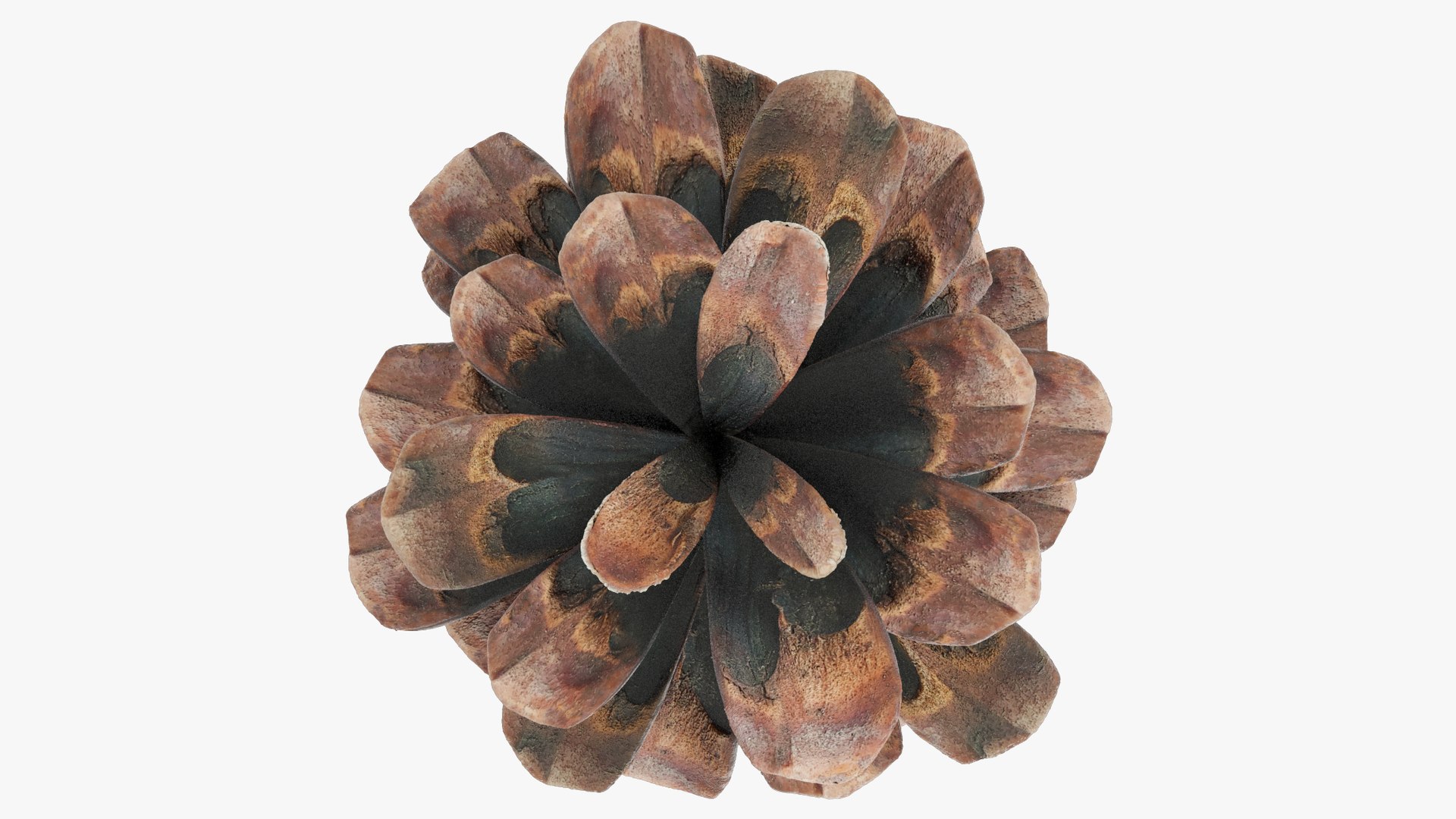 Cone Christmas Tree Toys Collection V6 3D model https://p.turbosquid.com/ts-thumb/XV/anURqk/Oq/cctt2_004_014/png/1701402044/1920x1080/fit_q87/80fb5ba6985454e8372959323f9460b0081e1137/cctt2_004_014.jpg